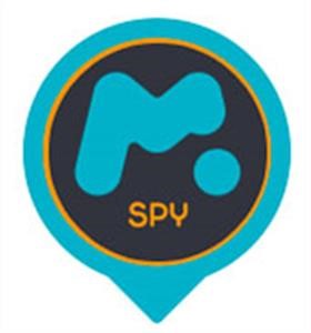 Mspy Software Löschen