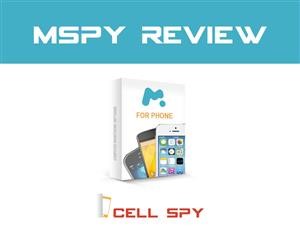 Wie Kündige Ich Mspy